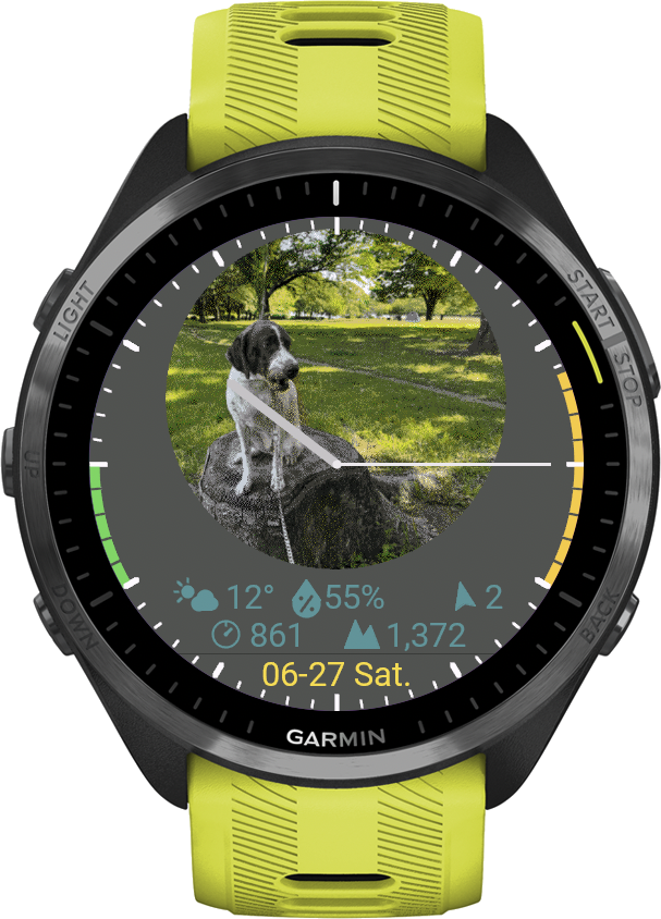 PulseLink watch face with custom image, weather and physical bars